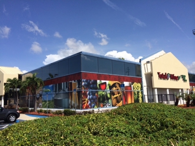 Window Graphics Photo